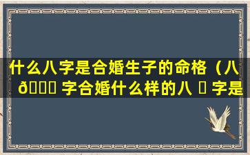 什么八字是合婚生子的命格（八 🍀 字合婚什么样的八 ☘ 字是最好的）